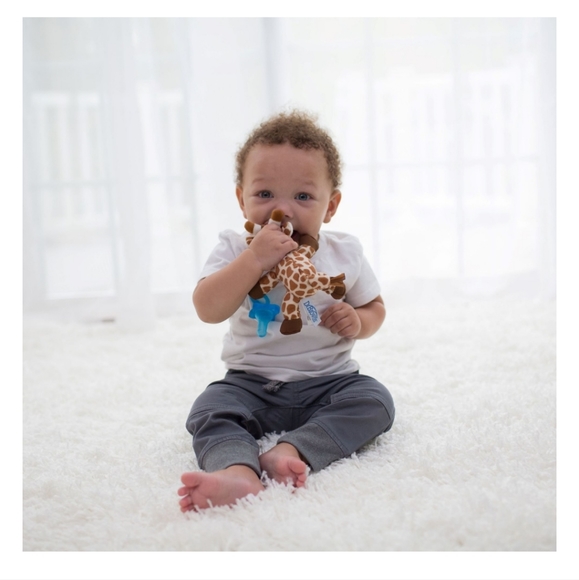 BUY 1 GET 1 FREE Dr. Brown's Lovey Giraffe with pacifier attached. - Picture 4 of 5